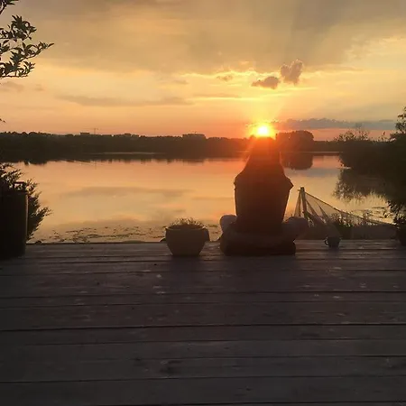 Zuzette كونستانتا