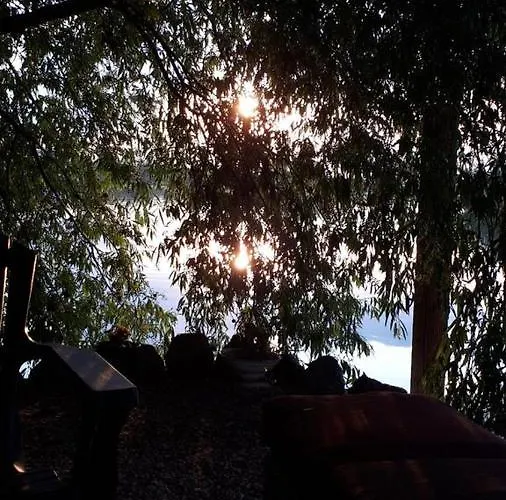 Zuzette ゲストハウス